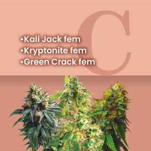 Heavy Duty Feminized Combo