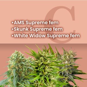 Supreme Feminized Combo